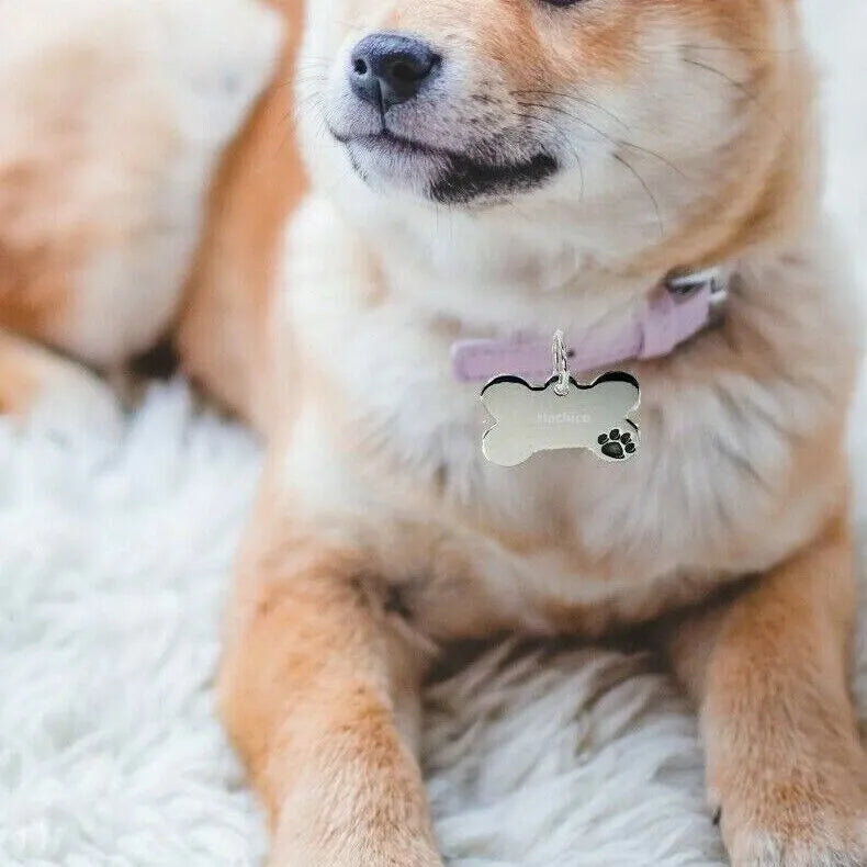medaglietta per cani personalizzata