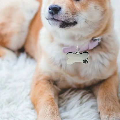 medaglietta per cani personalizzata